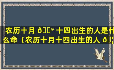 农历十月 💮 十四出生的人是什么命（农历十月十四出生的人 🦄 是什么命兔年）